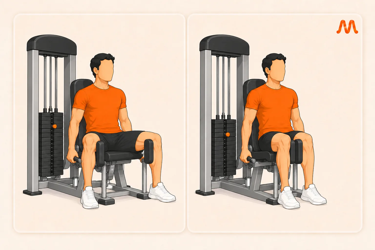 Adductor (Machine) exercise illustration