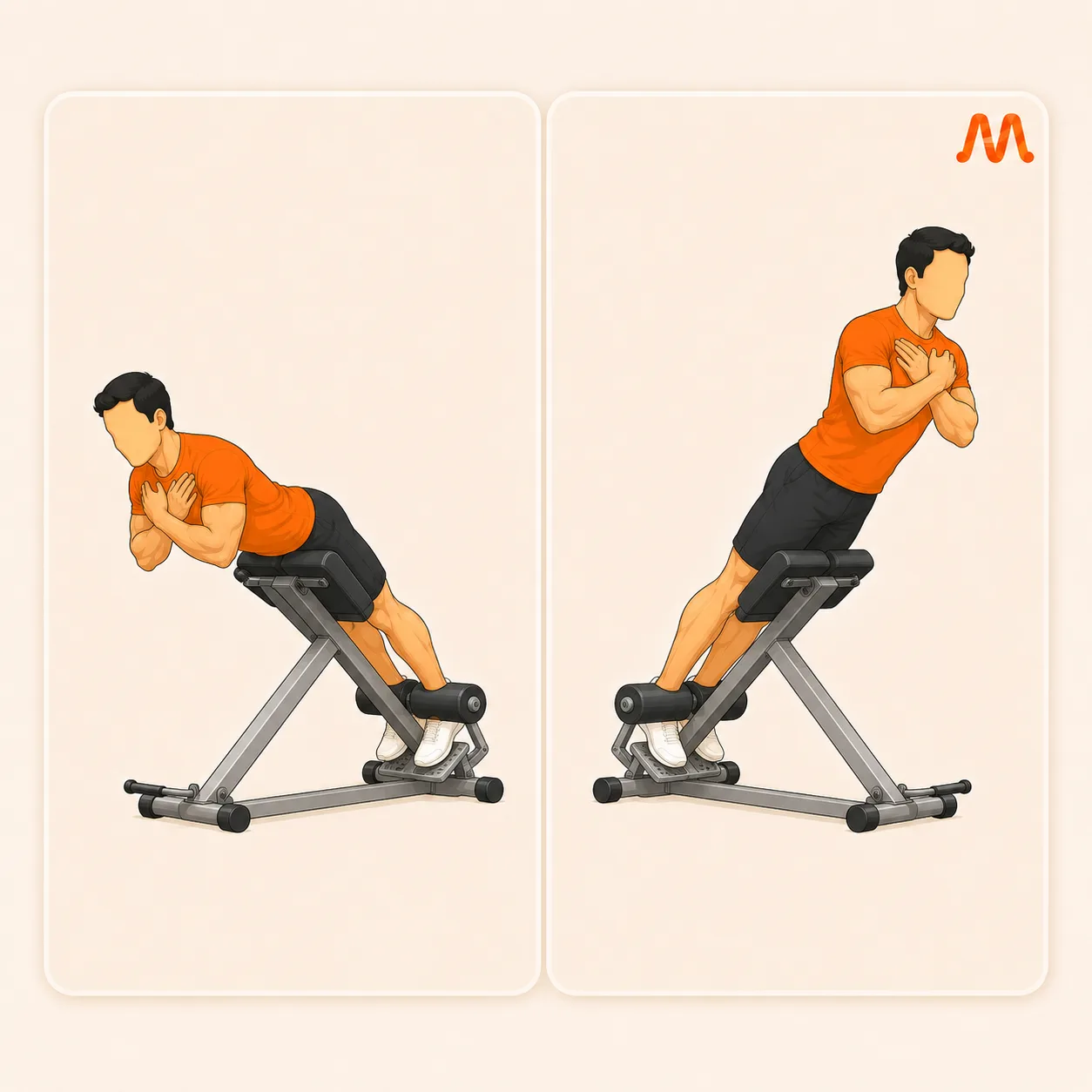 Back Extension exercise illustration