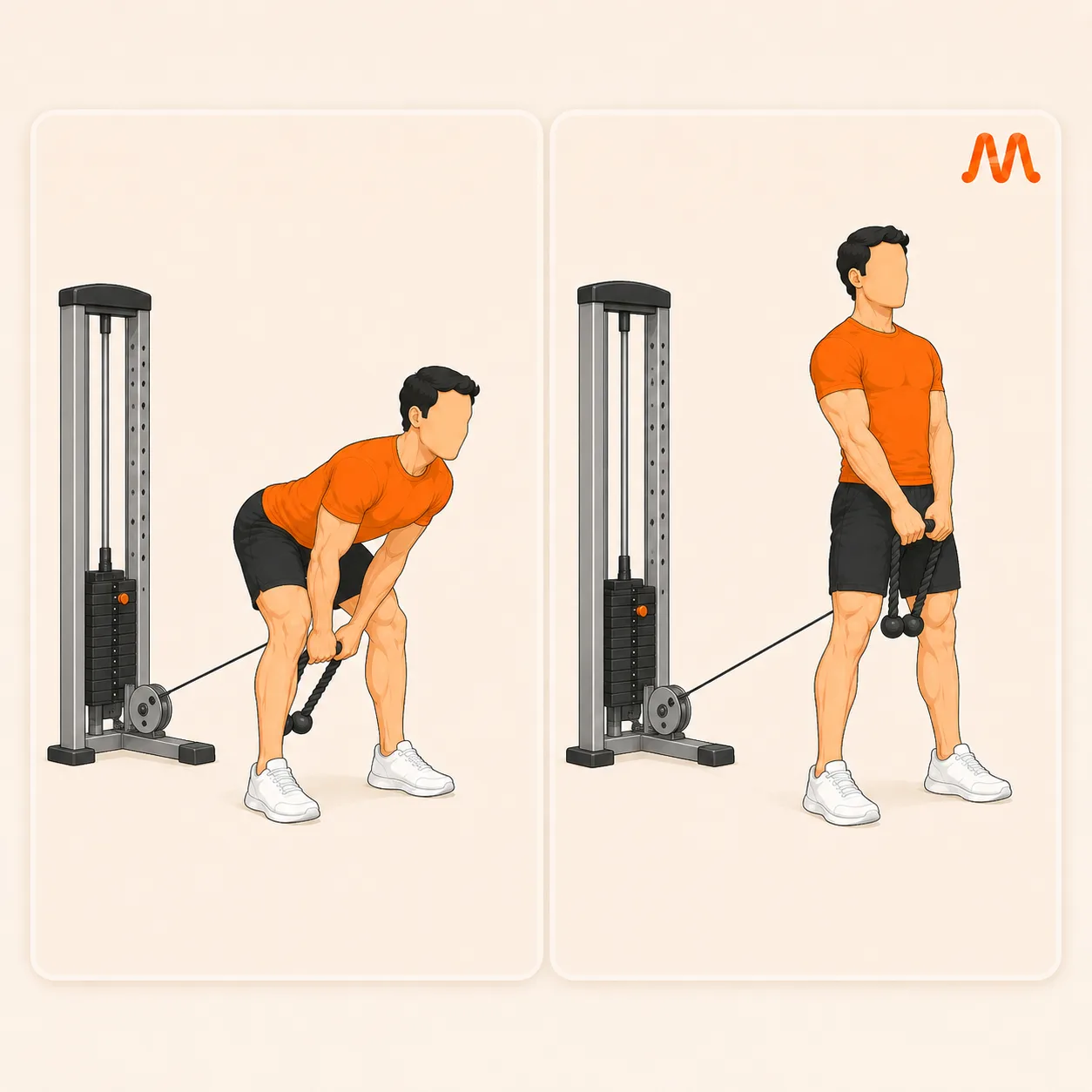 Cable Pull-Through exercise illustration