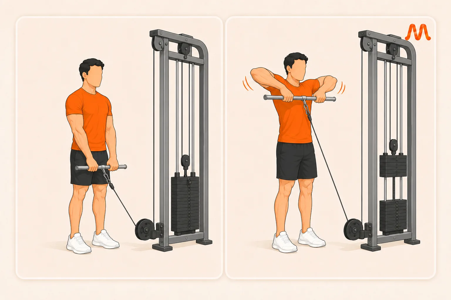 Cable Upright Row exercise illustration