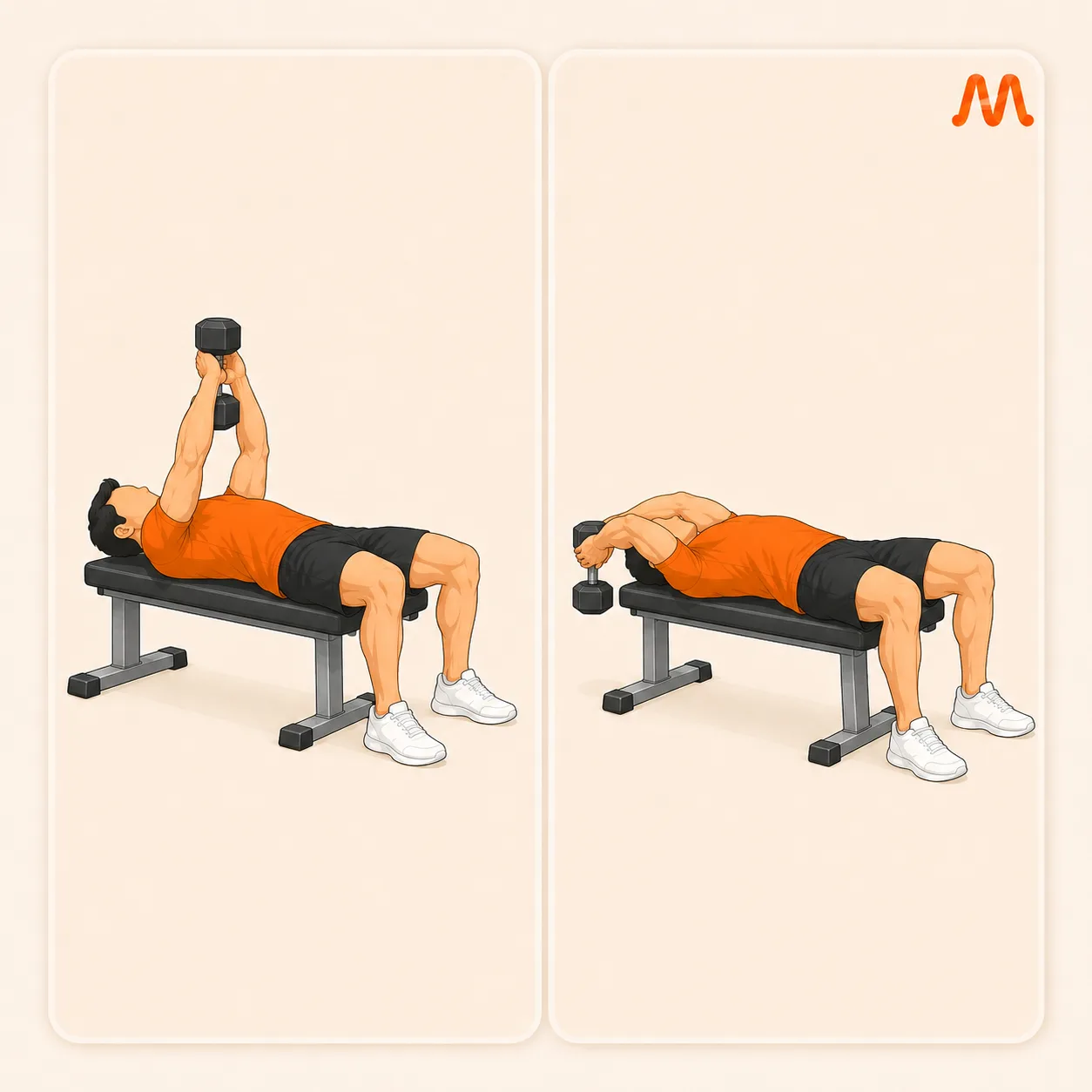 Dumbbell Pullover exercise illustration