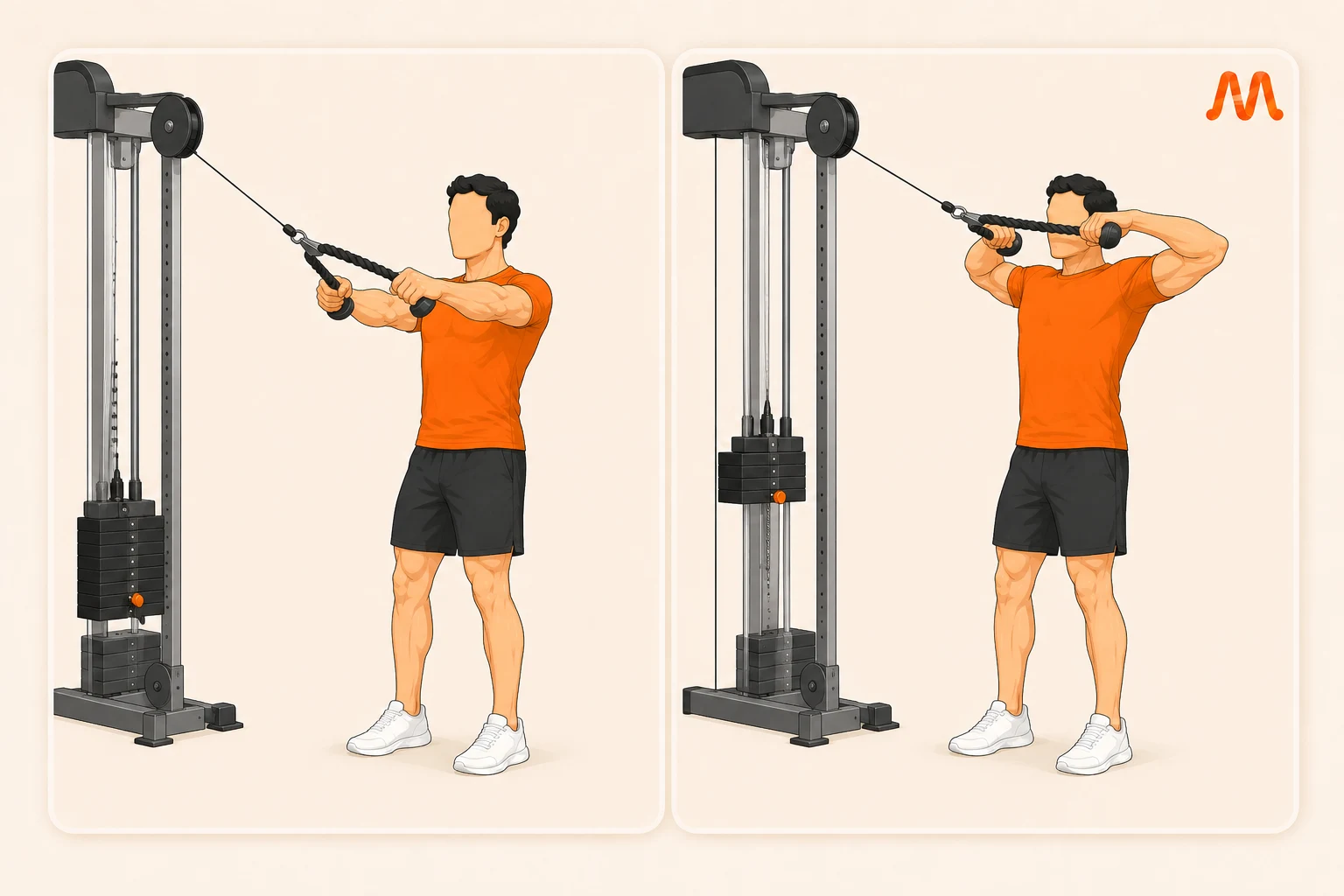 Face Pull exercise illustration