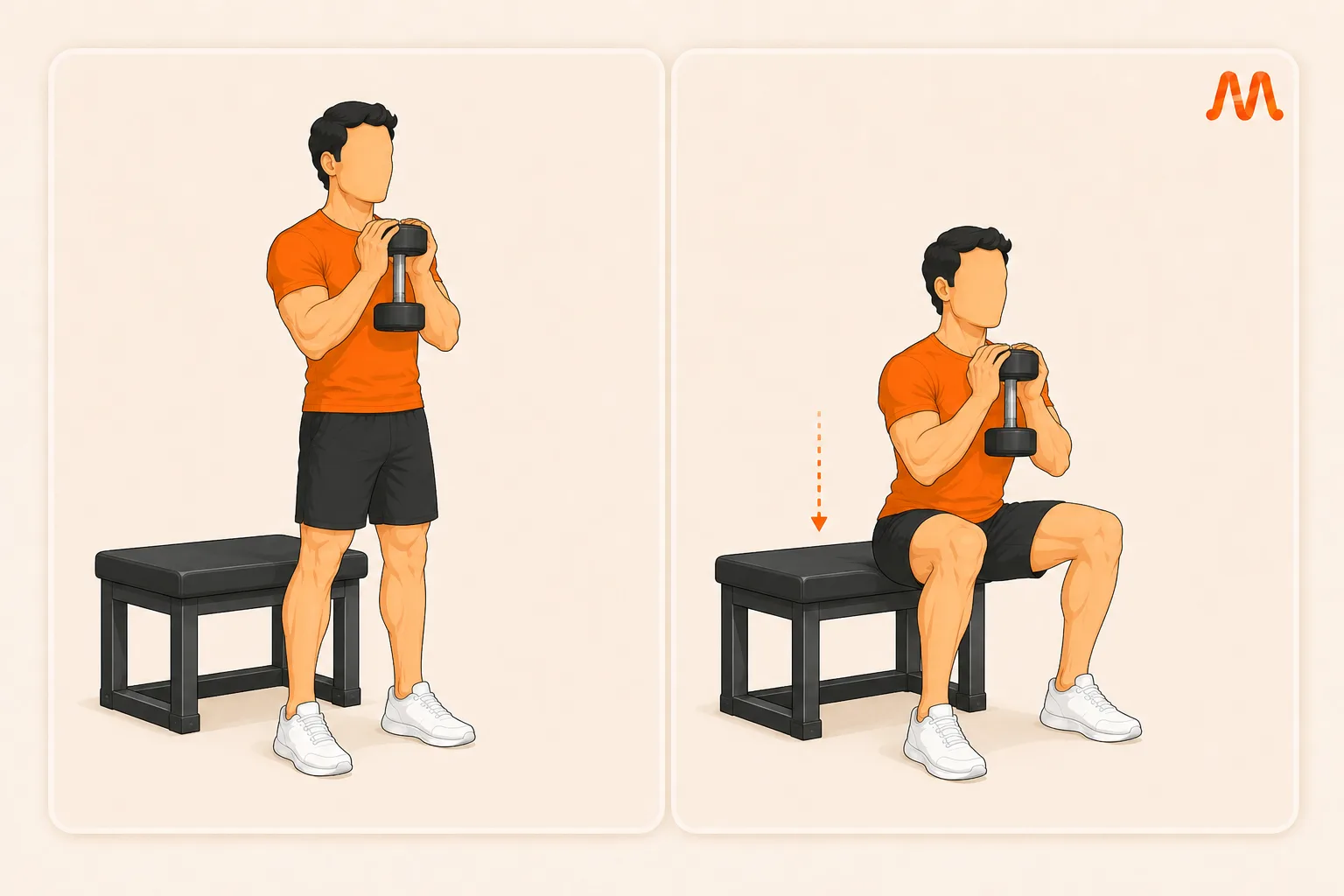 Goblet Box Squat exercise illustration