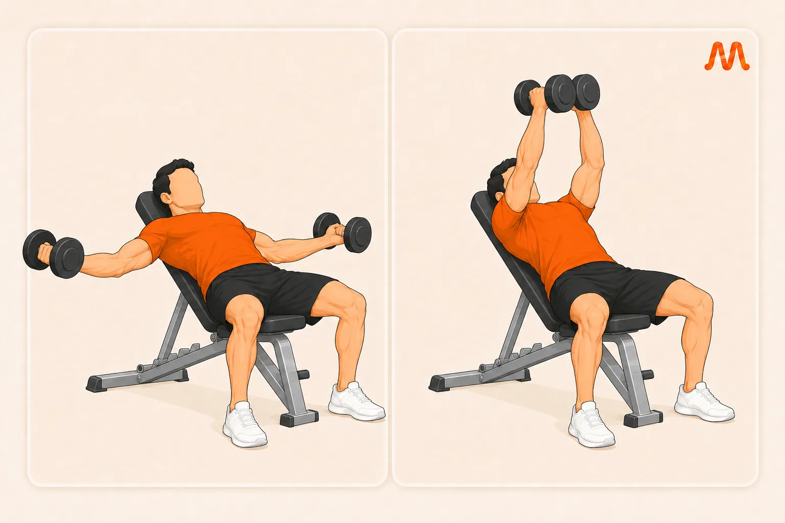 Incline Dumbbell Fly exercise illustration