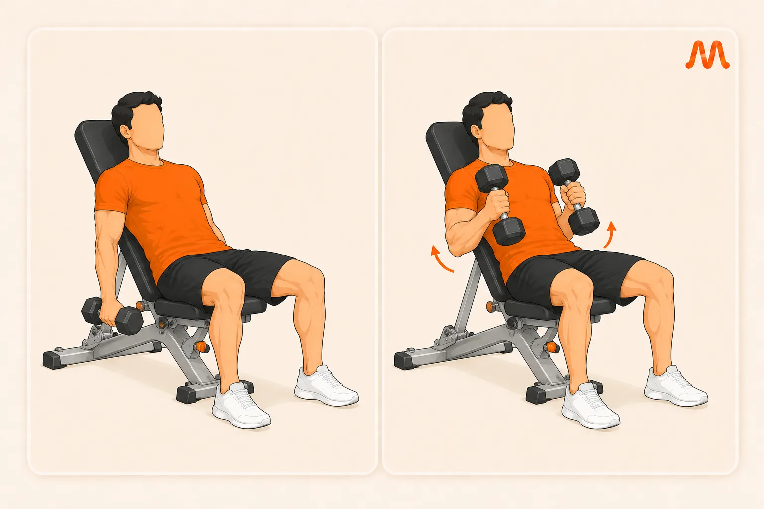 Incline Hammer Curl exercise illustration