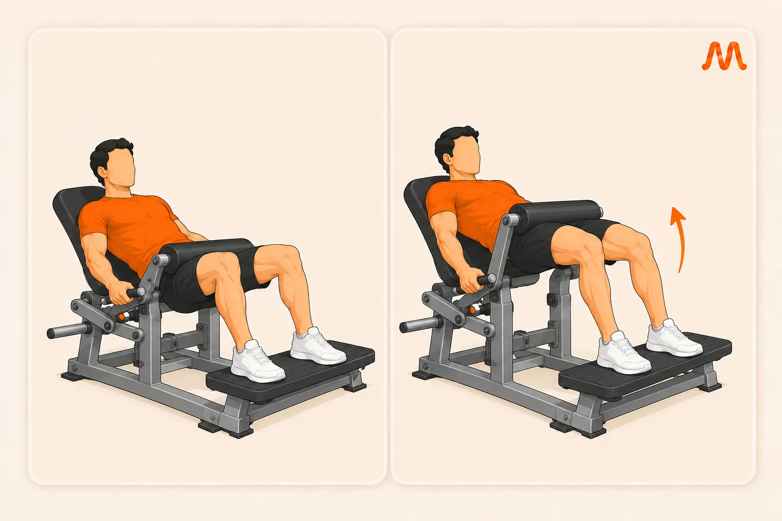 Machine Hip Thrust exercise illustration