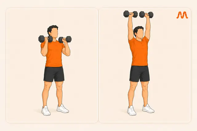 Overhead Press (DB) exercise illustration