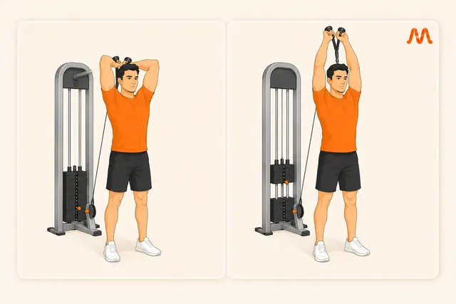 Overhead Rope Tricep Extension exercise illustration