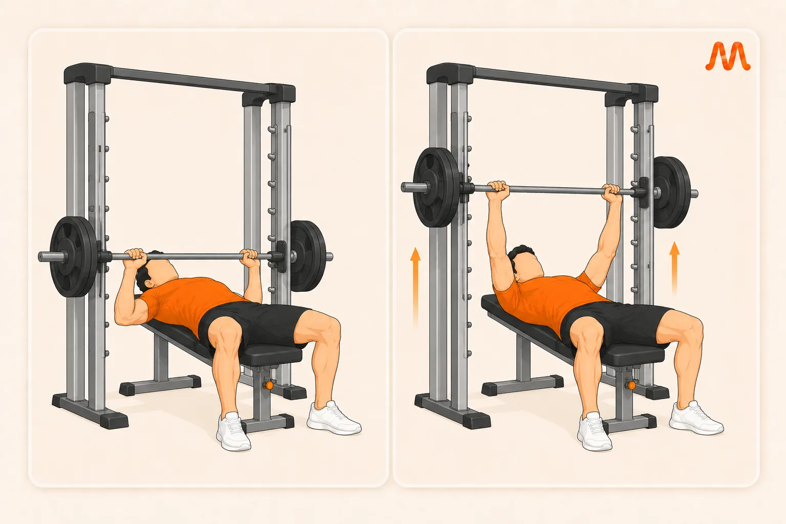 Smith Machine Bench Press exercise illustration