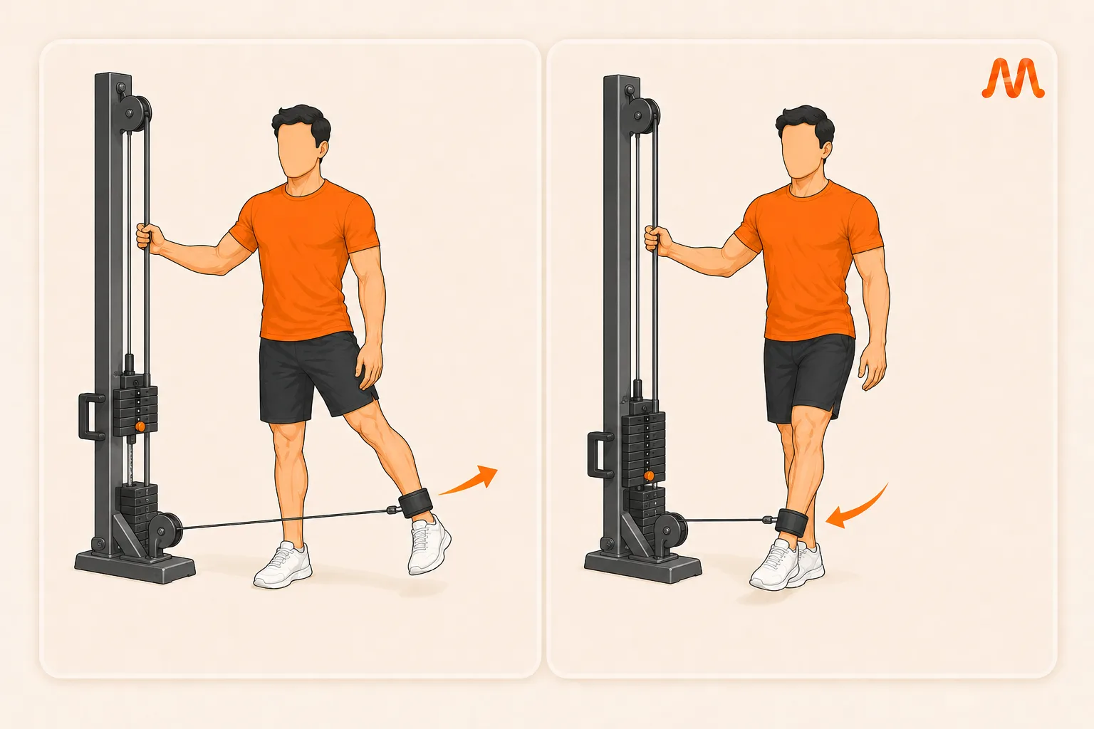 Standing Cable Hip Adduction exercise illustration